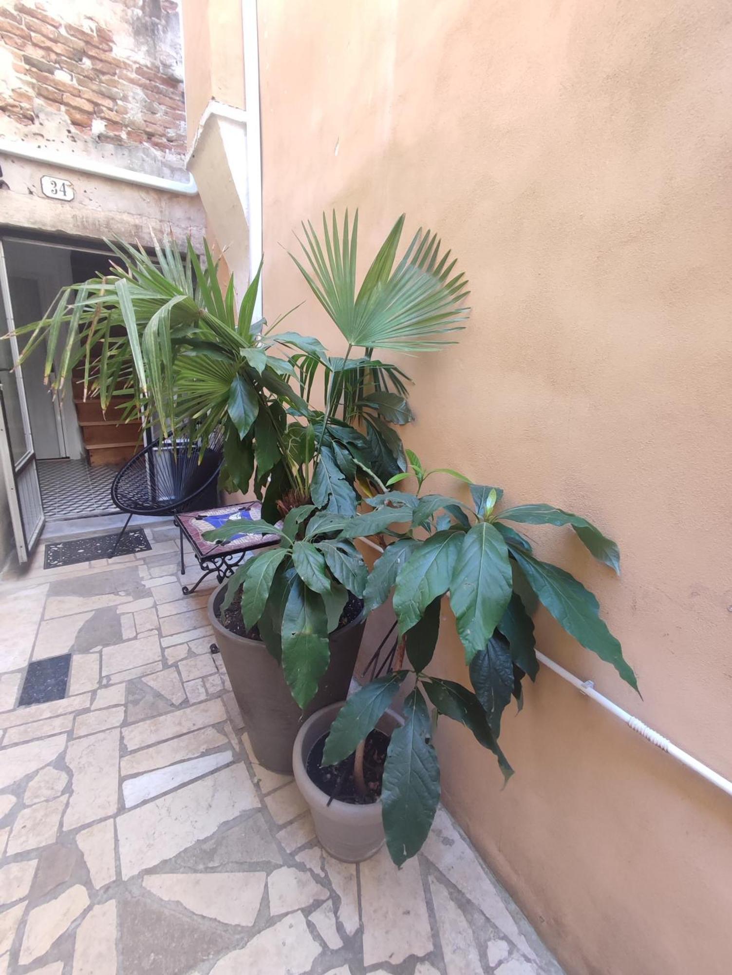 Studio Barka روفينج المظهر الخارجي الصورة